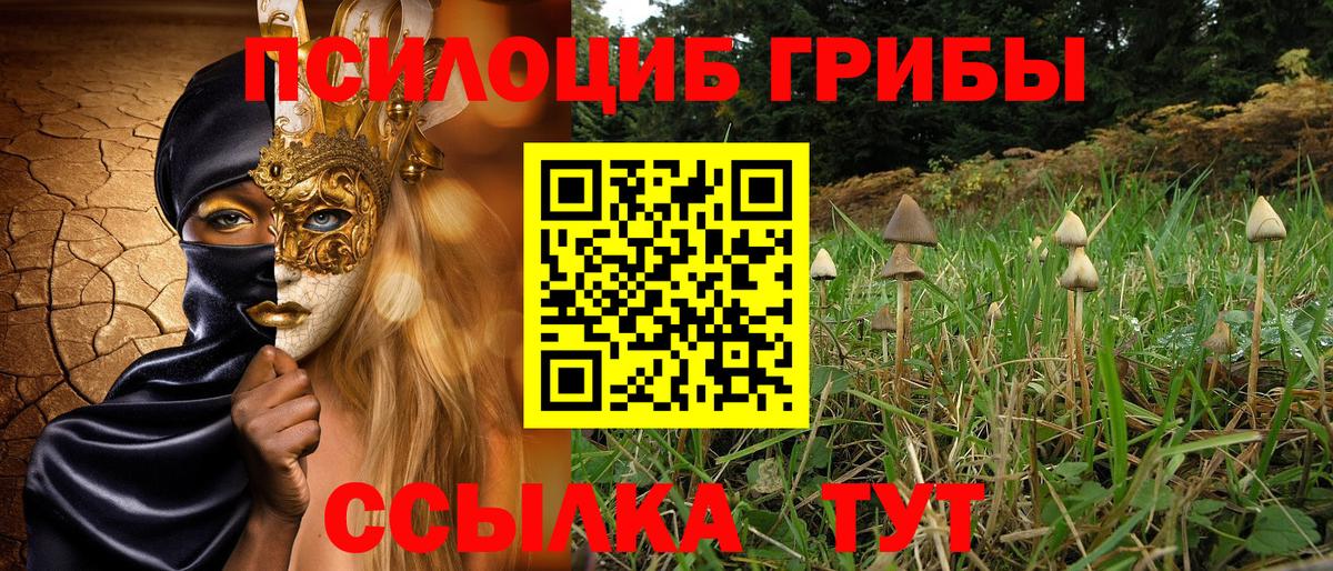 Псилоцибиновые грибы мухоморы Ступино